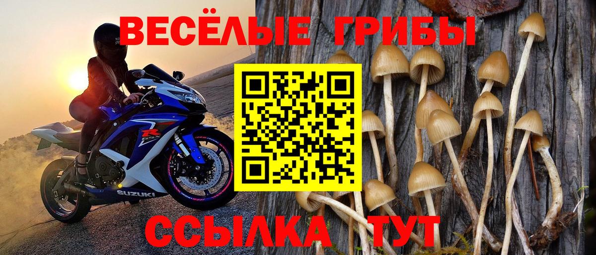 Alpha PVP Горячий Ключ