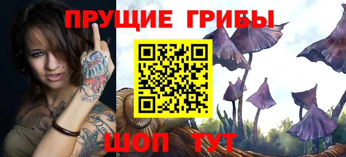 Галлюциногенные грибы Psilocybe Горячий Ключ