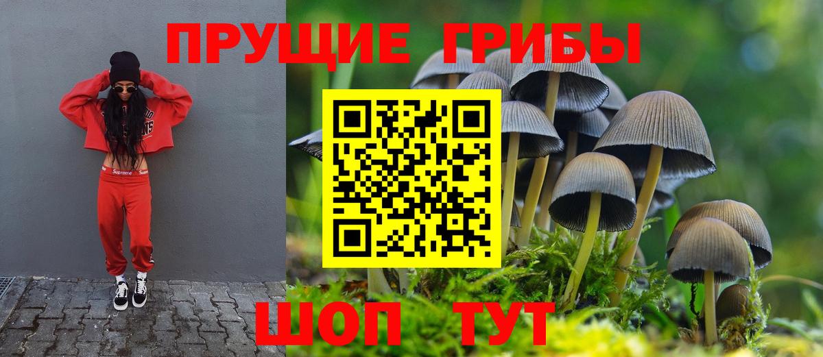 Псилоцибиновые грибы мухоморы  Вход с VPN  Горячий Ключ  Галлюциногенные грибы GOLDEN TEACHER 